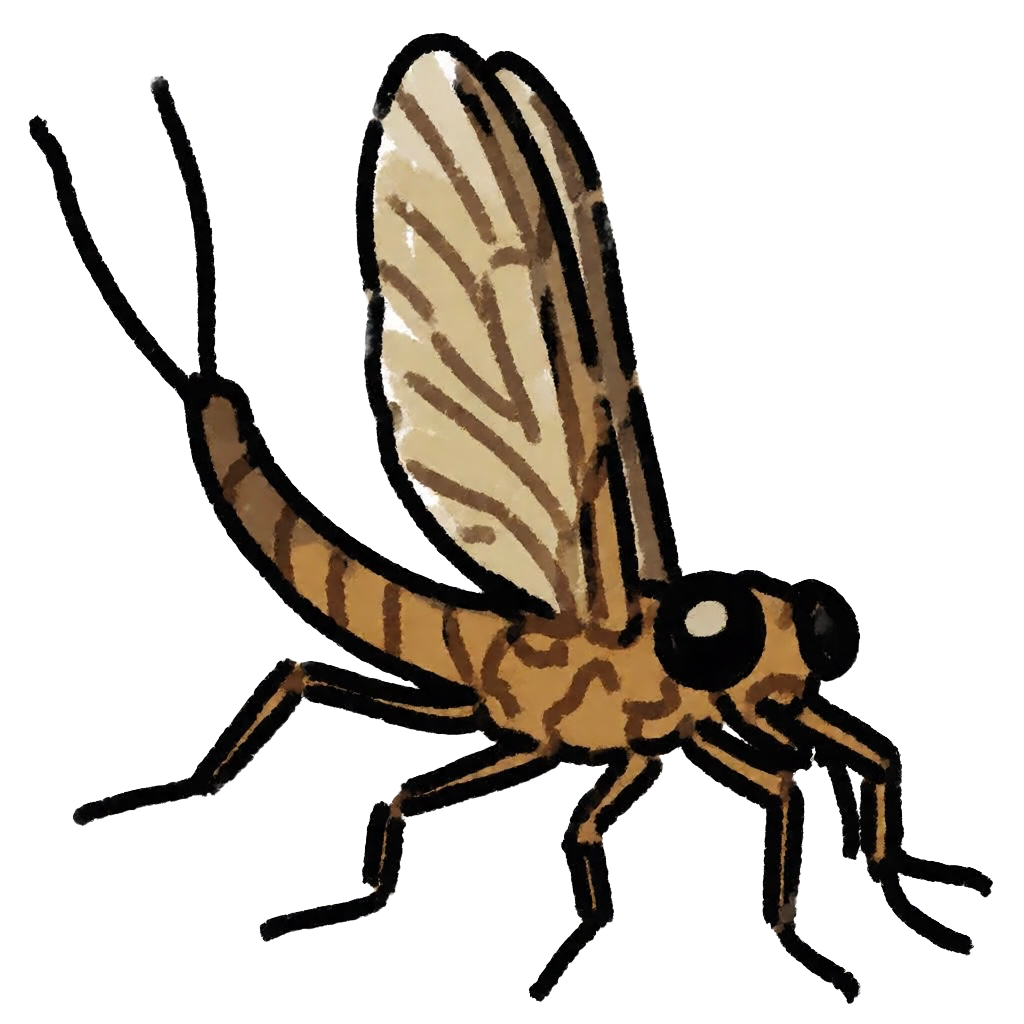 Fishfly