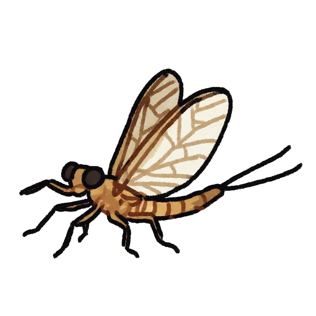 Fishfly