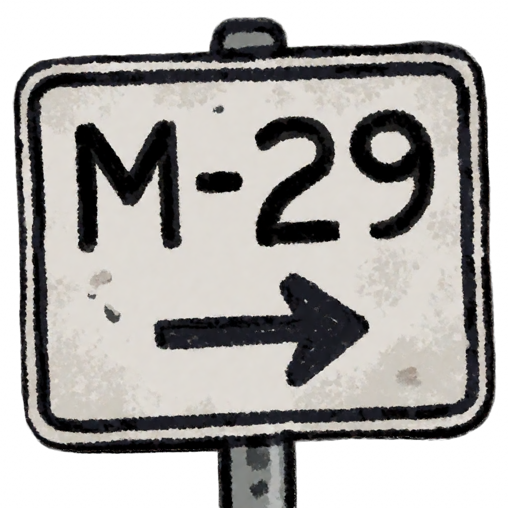M-29